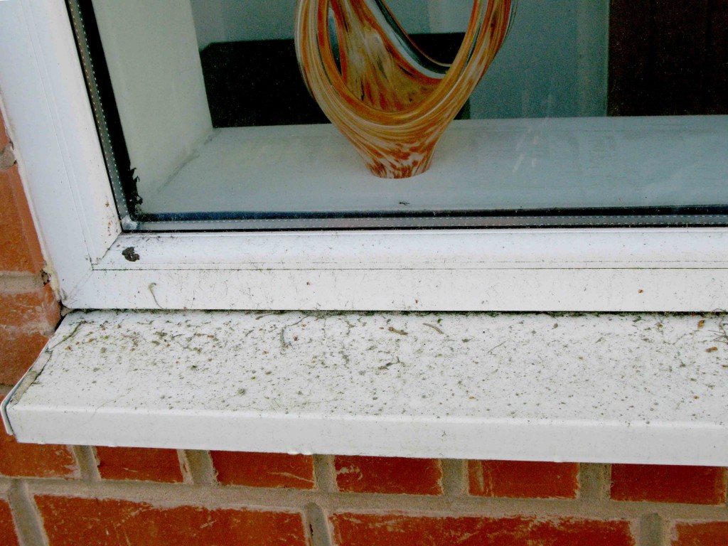 oliver window cleaner sill before clean